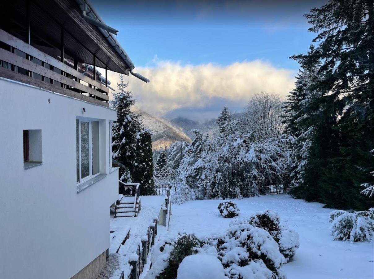 Bsg Villa - Sinaia Exterior photo